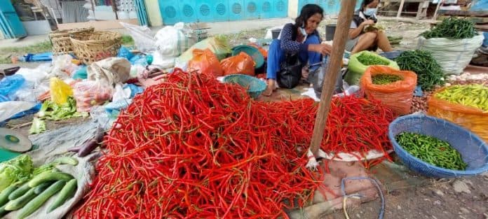 stok_melimpah_harga_cabai_rawit_dan_merah_anjlok_di_medan