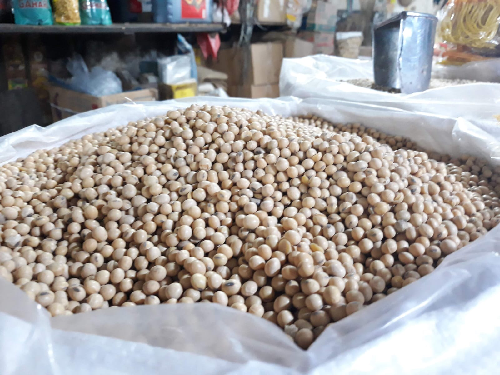 stok_menipis_bikin_harga_kacang_kedelai_di_sumut_terdongkrak_naik