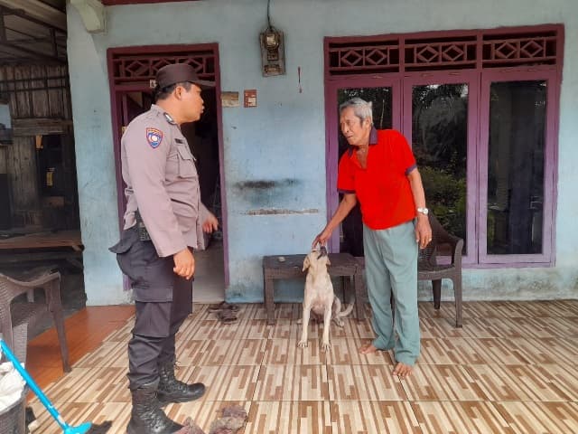 sukseskan_pon_xxi_jalan_raya_pematangsiantar_harus_bebas_ternak