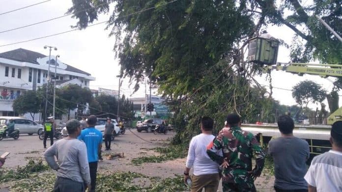 tak_ada_hujan_pohon_besar_tumbang_dan_tutupi_jalan_hm_joni_medan