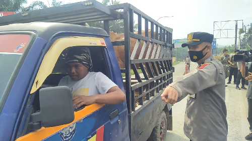 tak_bawa_surat_sehat_7_mobil_pengangkut_hewan_ternak_diputar_balik_di_langkat