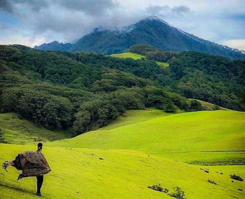 taman_nasional_mutis_timau_resmi_menjadi_taman_nasional_ke_56_di_indonesia