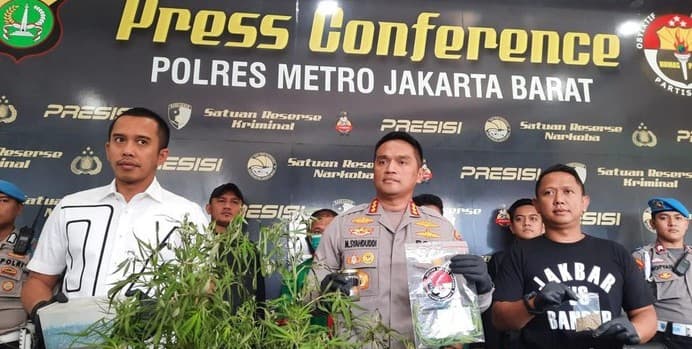 tanam_ganja_5_pot_pesulap_oge_arthemus_dijerat_hukuman_seumur_hidup