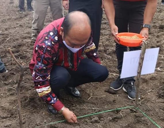 tanam_perdana_padi_gogo_di_kebun_percontohan_bupati_taput_seyum_rakyat_adalah_kebahagiaanku