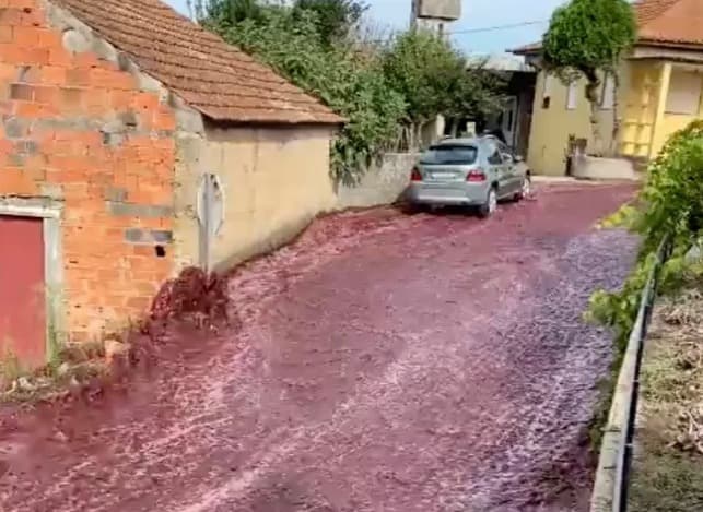 tangki_pecah_22_juta_liter_anggur_merah_banjiri_jalanan_kota_di_portugal