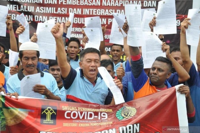 ter_update_ditjenpas_31786_napi_dewasa_dan_anak_dibebaskan