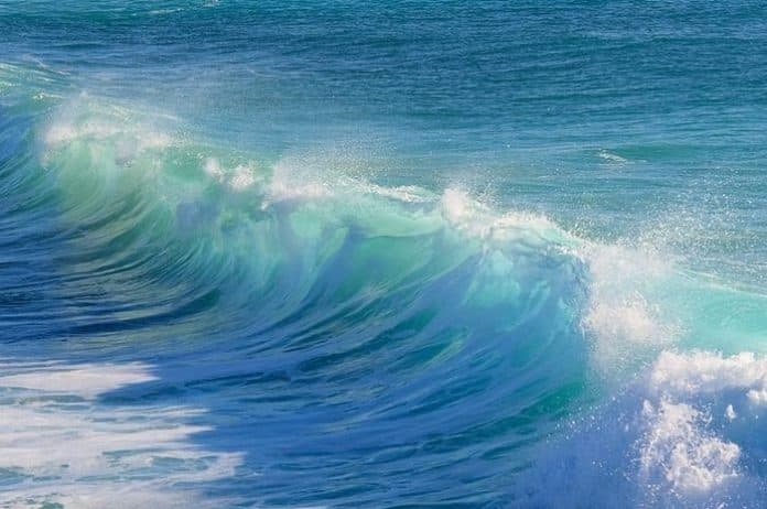 terinspirasi_anatomi_tulang_ilmuwan_kembangkan_membran_untuk_tuai_energi_dari_air_laut