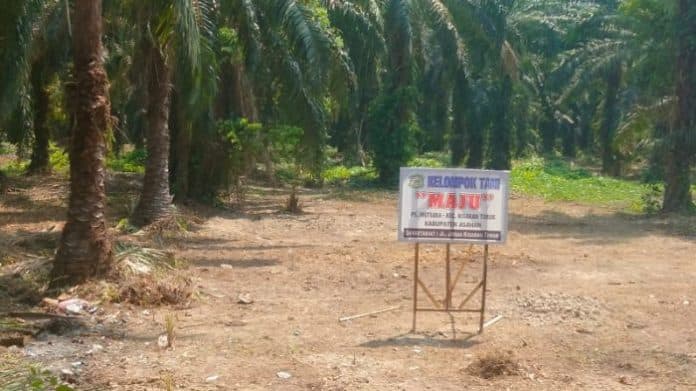 terkait_lahan_eks_hgu_dipasangi_warga_plang_begini_respon_pemkab_asahan