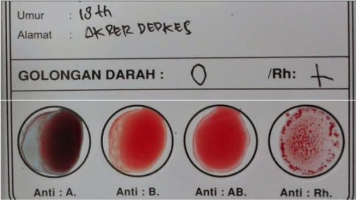 ternyata_mayoritas_penduduk_indonesia_yang_bergelar_s3_bergolongan_darah_o