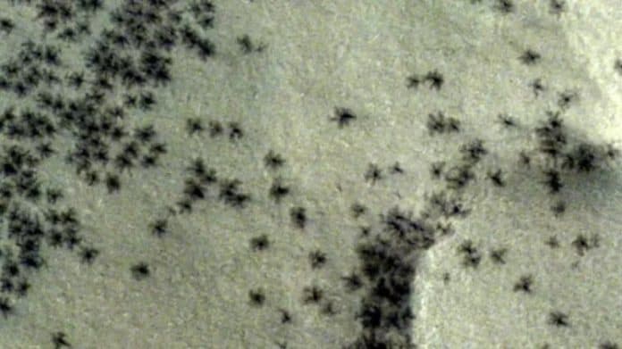 terungkap_fenomena_kemunculan_laba_laba_di_mars