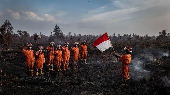 titik_api_ditemukan_di_hutan_96_perusahaan_mendapat_teguran