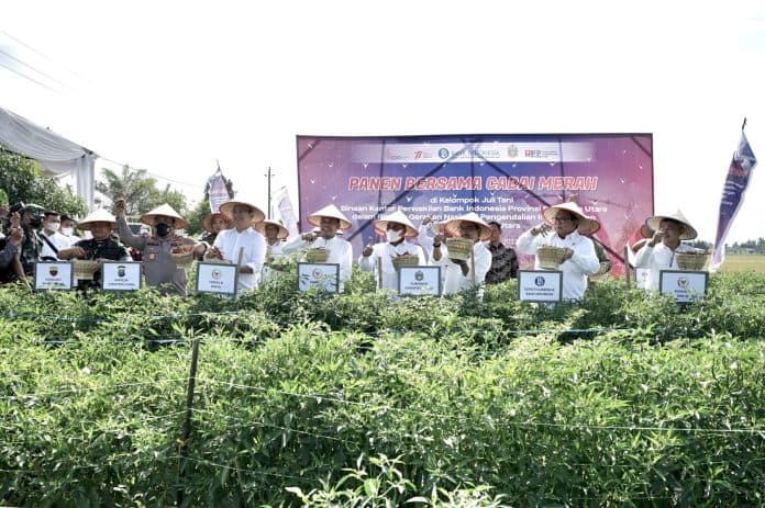tpid_provinsi_sumut_dan_bi_prioritas_kendalikan_inflasi_pangan_melalui_integrated_farming