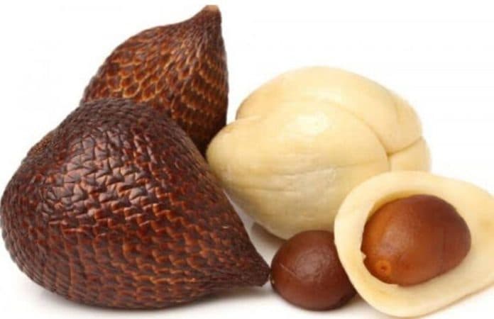 ugm_uji_salak_pondoh_dan_jeruk_pamelo_jadi_obat_kanker_serviks