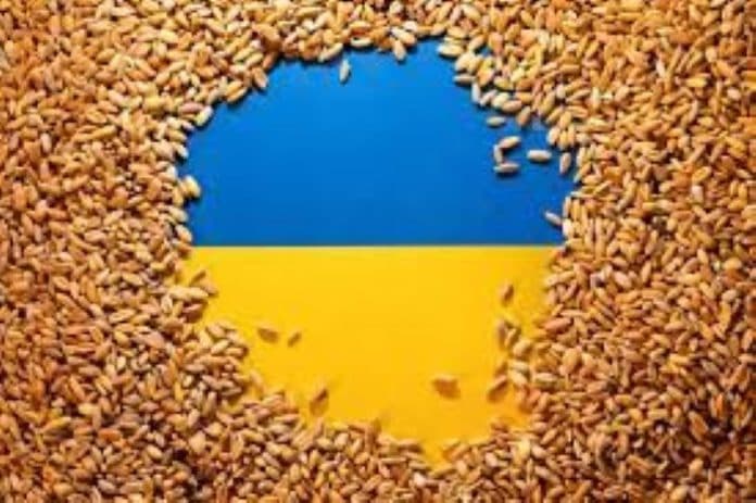 ukraina_dan_turki_bahas_perpanjangan_kesepakatan_biji_bijian