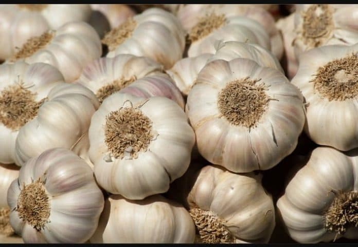 usai_lebaran_2023_harga_cabai_dan_bawang_putih_mulai_naik
