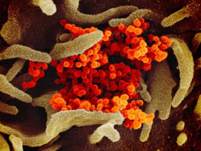 varian_baru_virus_corona_di_inggris_lebih_cepat_menular