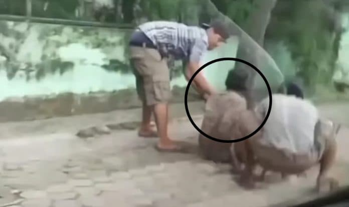 viral_dua_pemuda_aniaya_dan_rampas_uang_pria_renta_di_medan