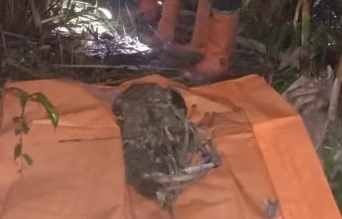 warga_batang_kuis_digegerkan_dengan_penemuan_tengkorak_manusia