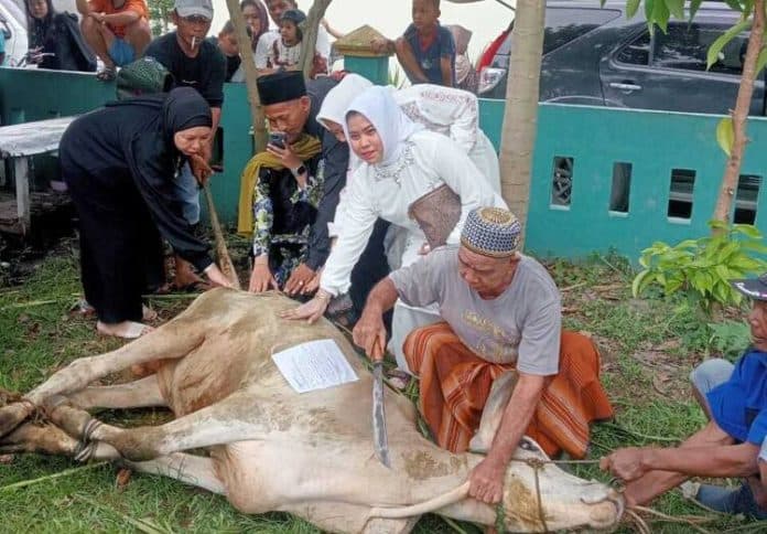 warga_bsp_lubuk_pakam_sembelih_8_ekor_hewan_kurban