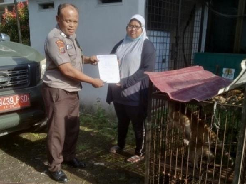warga_medan_denai_serahkan_monyet_ekor_panjang_ke_bksda_sumut