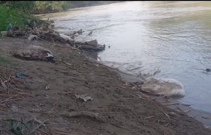 warga_resahkan_pembuangan_sampah_goni_bau_busuk_dan_berlalat_di_aliran_sungai_padang