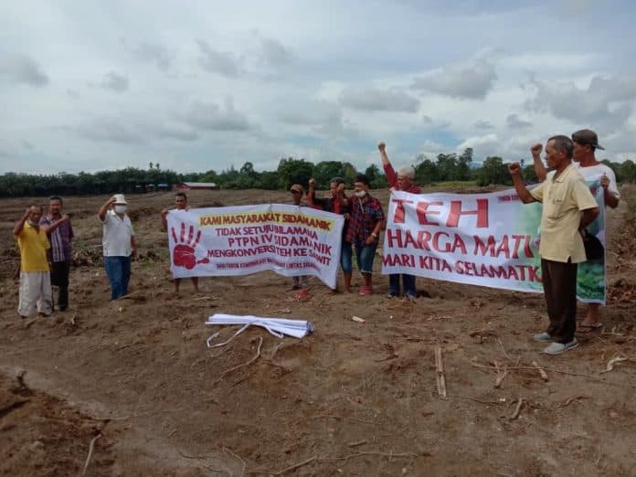 warga_sidamanik_simalungun_tolak_ptpn_iv_konversi_tanaman_teh_ke_sawit