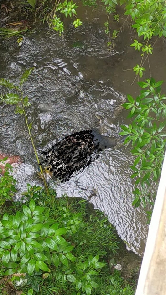 warga_temukan_mayat_dalam_karung_di_kolong_jembatan_desa_hutabayu
