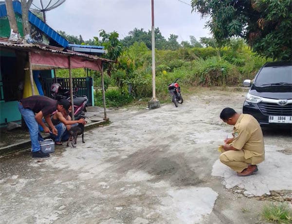 waspada_rabies_dishanpangtan_siantar_vaksinasi_puluhan_anjing