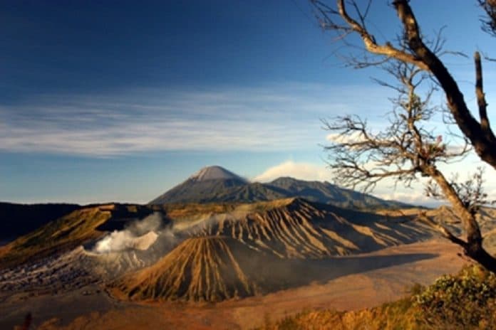 wisatawan_dilarang_dirikan_tenda_di_kawasan_gunung_bromo
