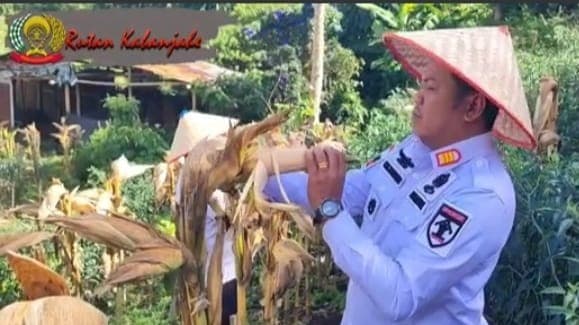 wujud_kontribusi_ketahanan_pangan_sae_rutan_kabanjahe_kanwil_kemenkumhan_sumut_panen_jagung