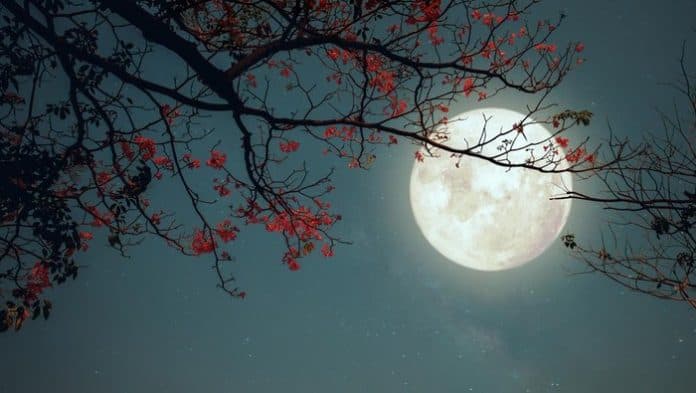 jangan_lewatkan_bulan_purnama_pertama_2025_pada_13_januari