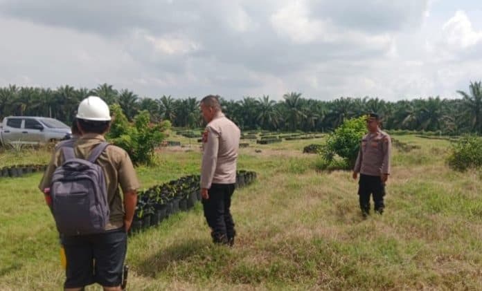 polresta_deli_serdang_akan_tanam_jagung_serentak_di_lahan_seluas_8_hektar