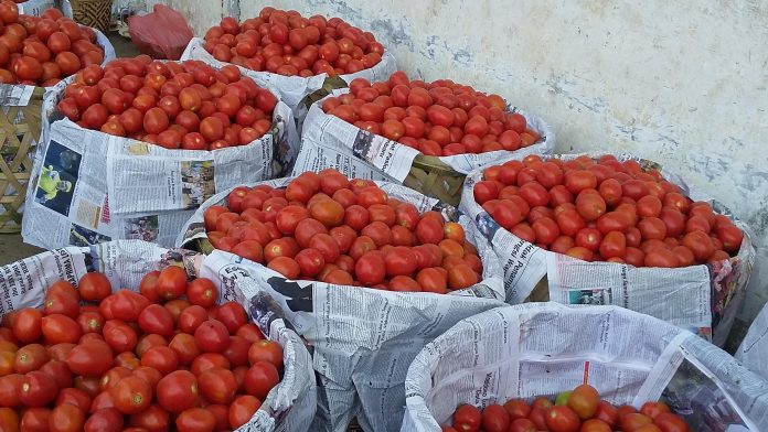 Tomat buah di Pasar Horas