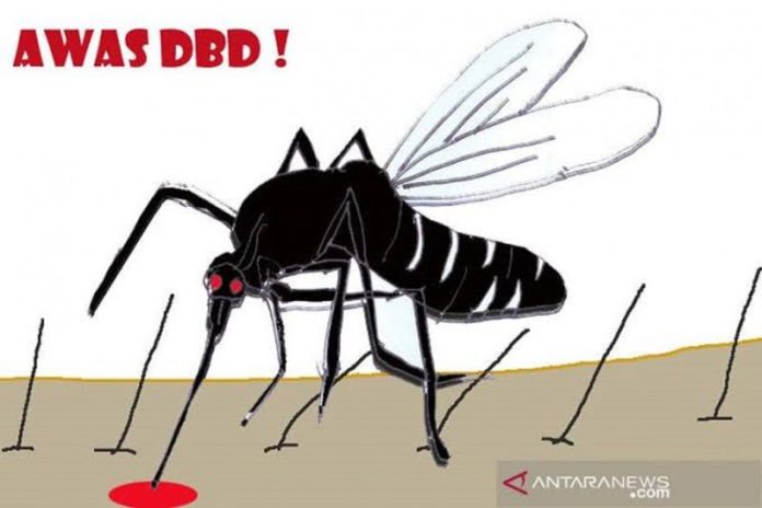 Pemberantasan nyamuk DBD terus dilakukan melalui komunikasi, informasi dan edukasi. (antara)