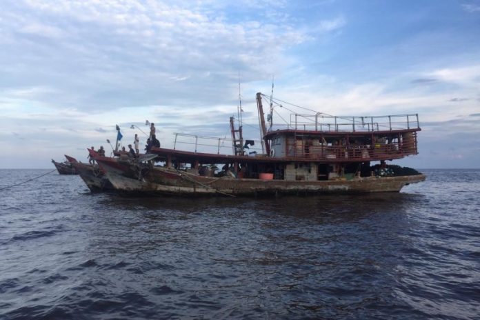 Direktorat Polisi Perairan Polda Riau menangkap tujuh kapal asal Sumut yang melaut di Rokan Hilir, Riau. (Antara/HO Ditpolair Polda Riau)