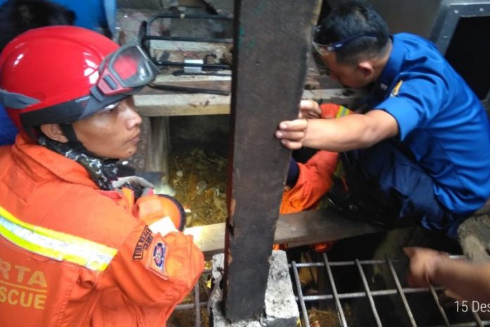 Petugas Damkar Jakarta Barat (ANTARA/HO- Suku Dinas Penanggulangan Kebakaran dan Penyelamatan Jakarta Barat)