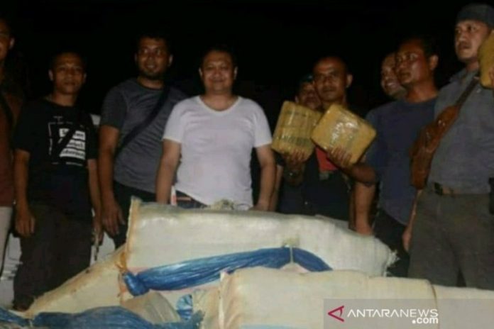Kapolres Padangsidimpuan AKBP Hilman Wijaya (tengah) didampingi personel Polres Padangsidimpuan berhasil mengamankan 250 kilogram narkoba jenis ganja di Padangsidimpuan, Sumatera Utara. (ANTARA/Khairul Arief)