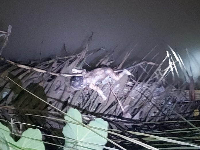 Mayat bayi terlihat tersangkut di pelepah sawit Desa Serdang Kecamatan Beringin, Senin (10/02/20), malam pukul 21.00 WIB.(ft:mistar/naldi)