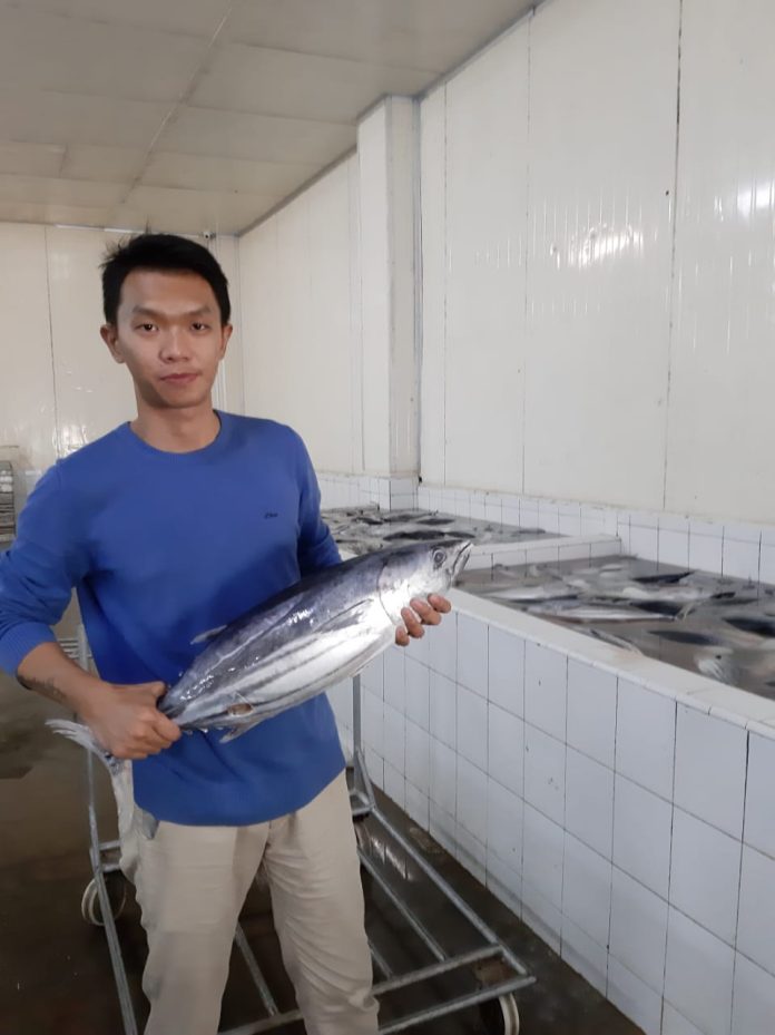 Masa Pandemi, Omset Pengusaha Ekspor Ikan di Medan Anjlok 70%