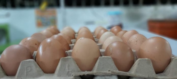 Harga Pakan Naik, Harga Telur Ayam Ikut Naik 