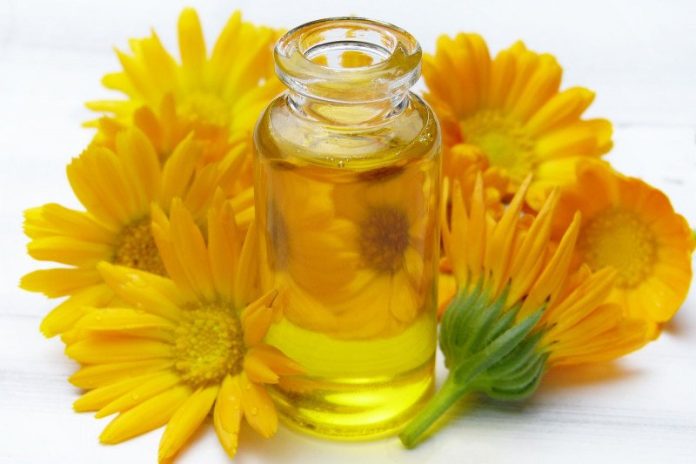 Ilustrasi minyak calendula untuk kosmetik. (Pixabay)
