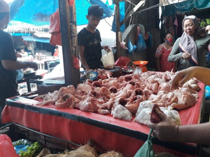 Harga Ayam di Medan Tembus Rp33 Ribu Per Kg