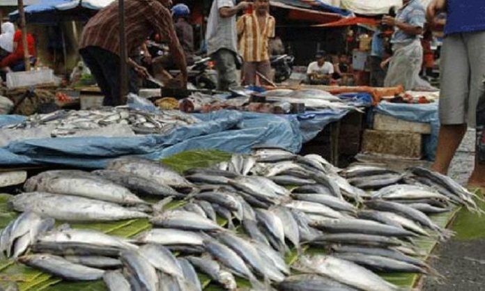 Pemda Diajak Gelar Pasar Ikan Murah Selama Ramadhan