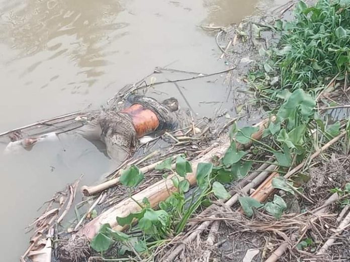 Mayat Pria Ditemukan Telungkup Membusuk di Bawah Jembatan Serdang Pantai Labu