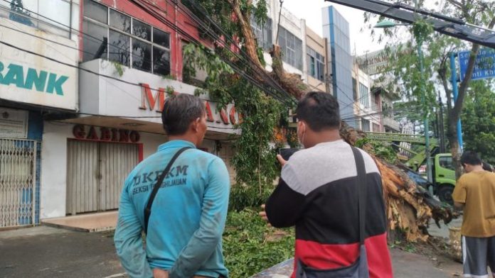 Pohon Tumbang d Jalan Gatot Subroto Medan Hantam Satu Unit Ruko
