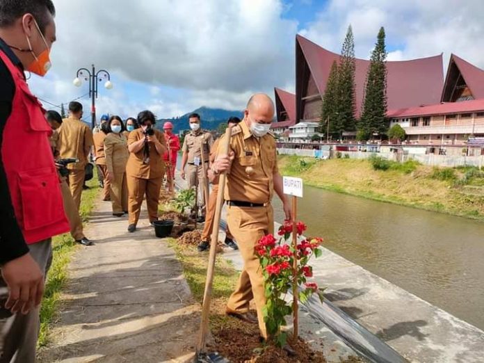 Hari Lingkungan Hidup Sedunia, Bupati Taput Tanam Bunga Bougenville dan Pohon Berbuah