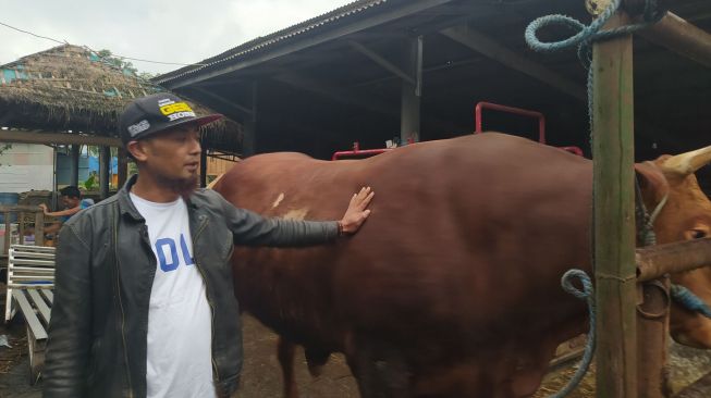 Ana Gugum alias Apep (40), mantan berandalan yang kini jadi juragan sapi saat menunjukkan sapi miliknya. (Suara.com)
