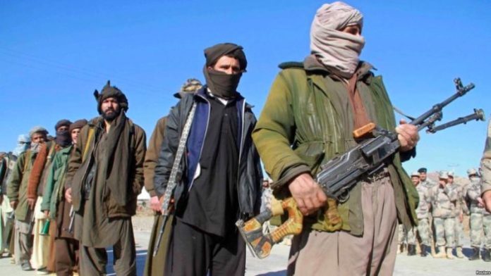 Sadis! Taliban Bunuh Direktur Media Afghanistan