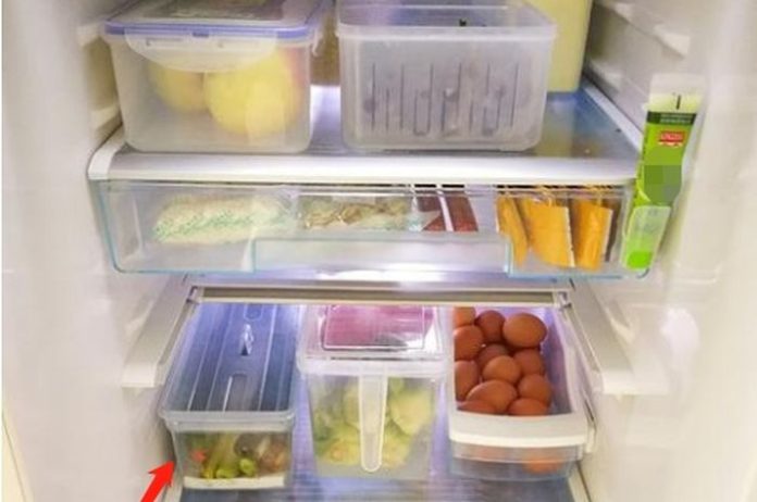 Tips menyimpan makanan di kulkas agar selalu rapi dan bersih.
