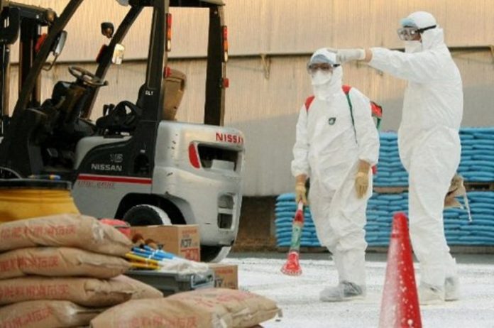 Jepang Musnahkan 143 Ribu Ayam Deteksi Wabah Flu Burung